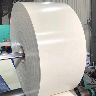 satın al NN100 NN150 NN200 Çok yönlü uygulamalar için geniş bant genişliği ile beyaz kauçuk taşıyıcı kemer online manufacture