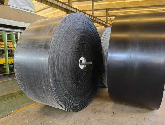 ST2000 Soğuğa Dayanıklı Özel Konveyör Bant -60℃ ila 50℃ 900mm Genişlik Düşük Sıcaklık Konveyör Bandı